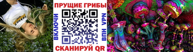 Галлюциногенные грибы MAGIC MUSHROOMS  kraken сайт  Каргат 